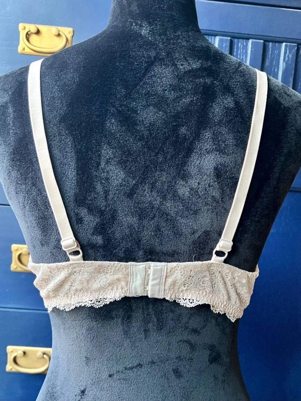 Gilligan & O'Malley Beige Lace Push-up Padded Bra 38B Discontinued